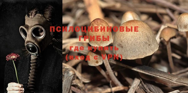 ALPHA-PVP Алексин