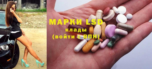 прущие грибы Алзамай