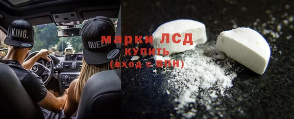 прущие грибы Алзамай