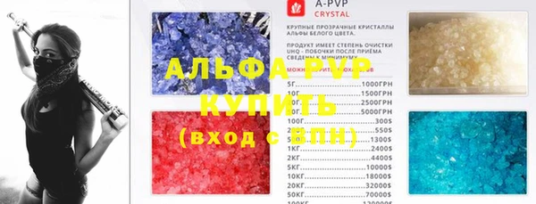 прущие грибы Алзамай