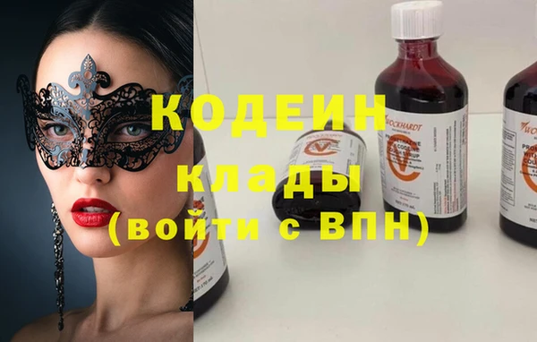 прущие грибы Алзамай