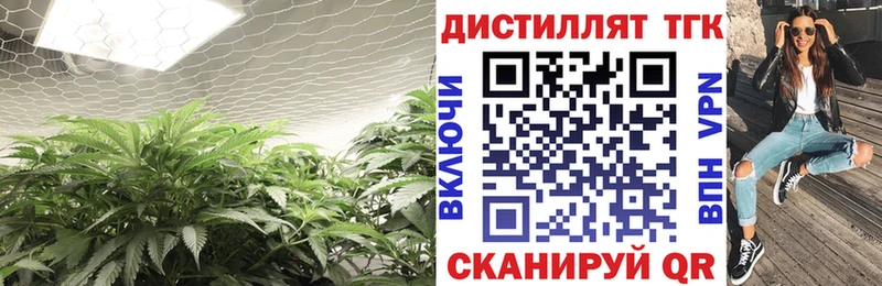 ТГК концентрат ОМГ ОМГ ТОР Байкальск купить наркотик